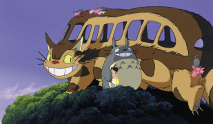 totoro 4 lys